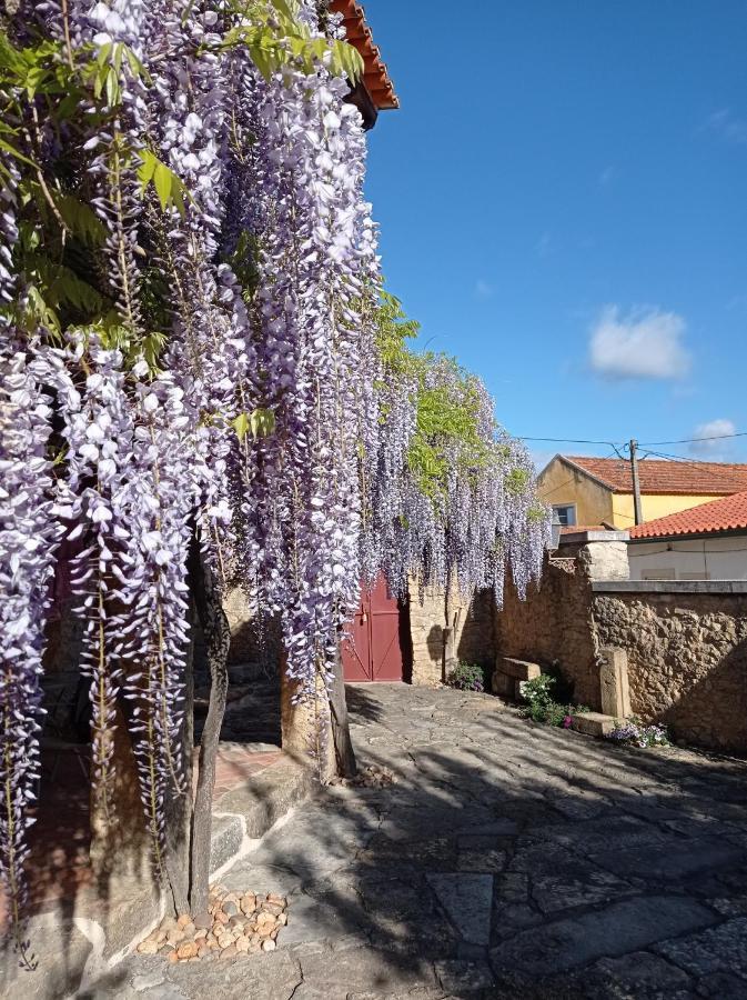토마르 Casarao Do Largo Da Eira 아파트 외부 사진